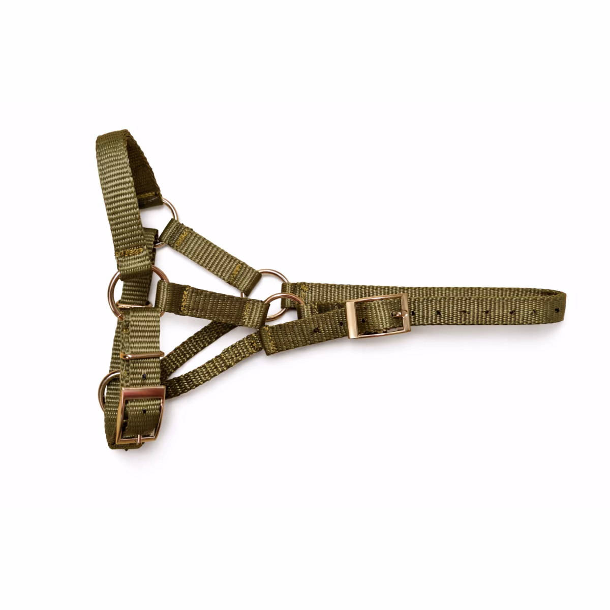 Alpaka Halfter mit Dornschale