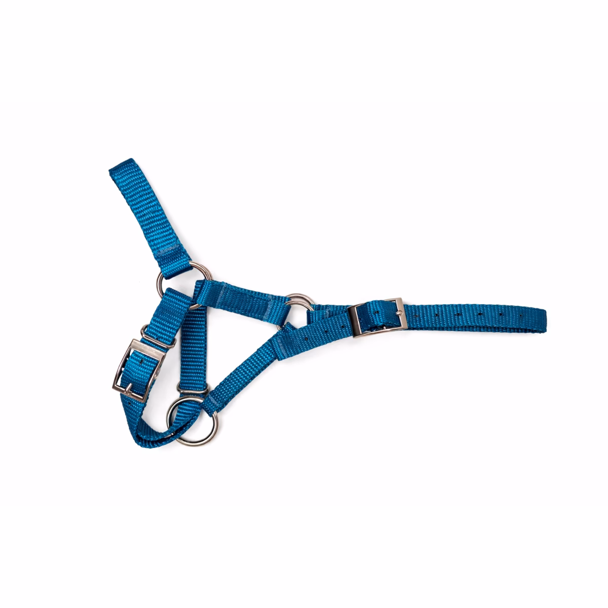 Alpaka Halfter mit Dornschale